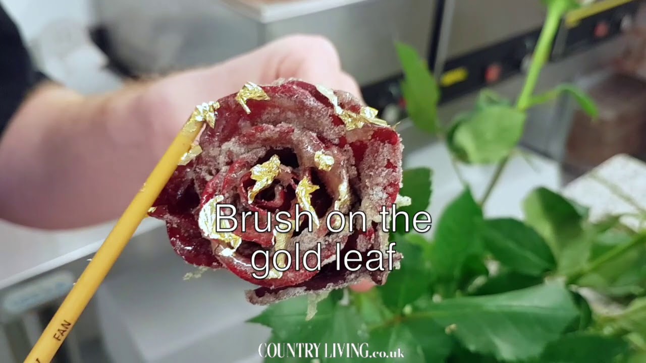 Crystalised Roses How to make crystallised edible roses with gold leaf - YouTube