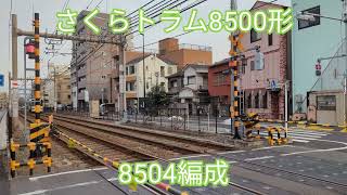 さくらトラム8500形8504編成【20240209】