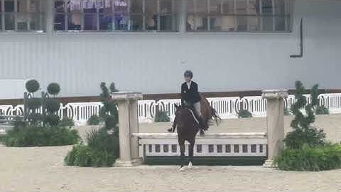 1st place, Children’s hunter 2nd round. Scored 86. WEC, July 19th 2025. Aboard Koberlin FH.