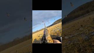 goose hunting slowmo action #chasse #hunting #охота #весенняяохота #goosehunting #wildlife