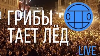 Грибы Live | Концерт | Тает Лёд - Одесса 1 апреля 2017