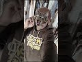 #yosho