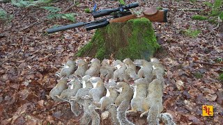 Pest Control with Air Rifles - Squirrel Shooting - The Log of Doom