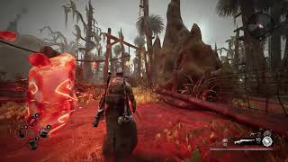 Remnant - From the Ashes. Game Play and Running Problem.