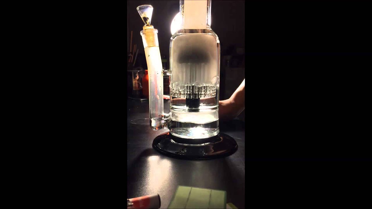 Black Leaf 24 Arm Tree Percolator Bong - Blackleaf perc bong in use