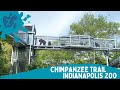 Indianapolis Zoo - Chimpanzee trail