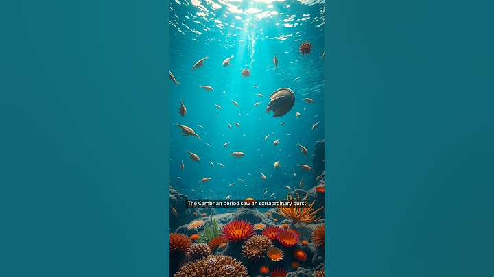 🌍 The Epic Story of Earth | From Fiery Beginnings to Human Evolution 🌍