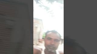 jaipuriya Sanjay blogger Dilwale geet