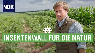 Landwirte schonen die Natur - über neue Wege der Agrarwirtschaft | Die Nordreportage | NDR