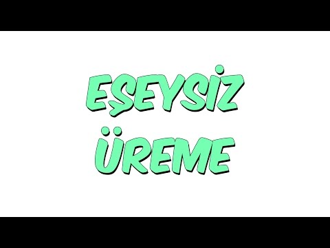 8dk'da EŞEYSİZ ÜREME - 10.Sınıf