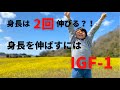 子どものための栄養学　－身長を伸ばすにはIGF-1－