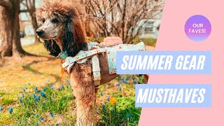 Service Dog Summer Must Haves