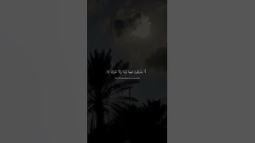 القارئ عبدالرحمن مسعد 🍂🍁 سورة النبأ 🍂🍁