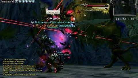 Dragon Nest EU Bug.