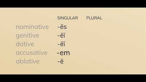 CC CYCLE 1 WEEK 12 LATIN. 5th Declension noun endings.