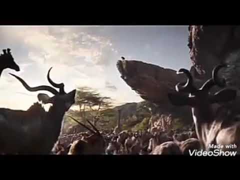 حالات واتساب الاسد المللك2019