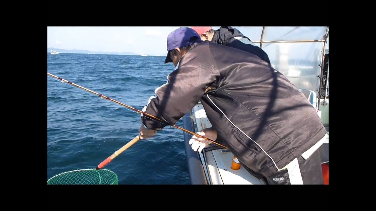 船宿紹介 和歌山 加太 平井丸 Youtube