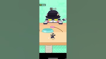 Hide and Seek cat escape #46| #shorts