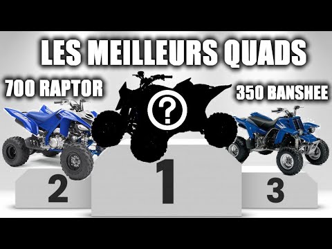 Vidéo: Quel est le meilleur quad 4x4 ?