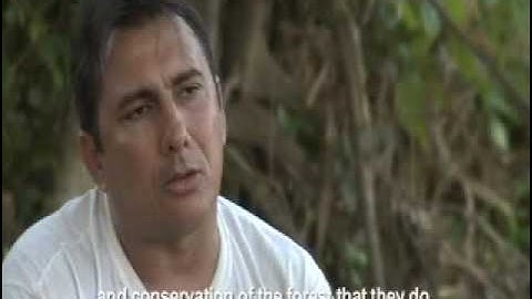 REDD Alert  A crusade for the Amazon