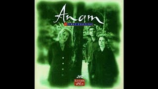 Anam - Planxty Joe Burke