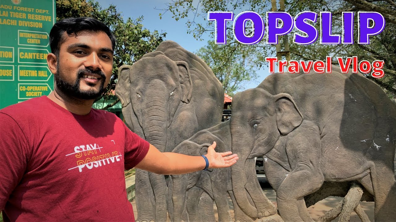Topslip Travel Vlog Part-02 | Places to visit in Topslip Coimbatore |  Travel video | Trip | Time Tv - YouTube