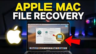 How to Recover Files on Mac with Apple - Beginner Guide