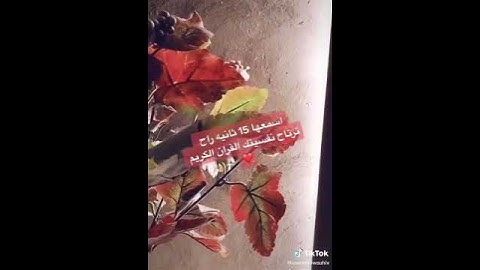 اسمعها 15 ثانية راح ترتاح نفسيتك القرآن الكريم