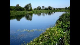 Люблю Тебя, Моя Россия Автор Ролика Татьяна Шарина