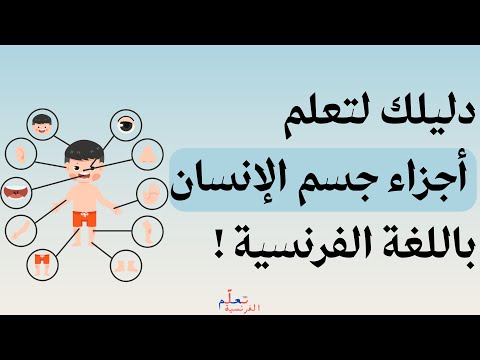 الدرس  أسماء أجزاء جسم الإنسان بالفرنسية خطوة بخطوة