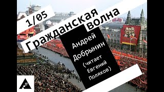 Гражданская Волна / 1.05.24 / Евгений Поляков читает Андрея Добрынина