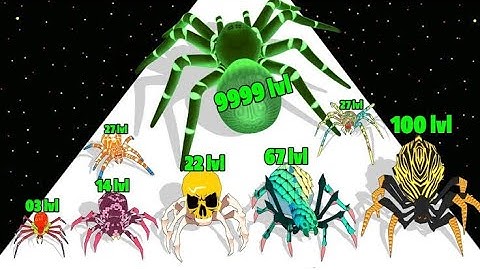 MAX LEVELS Spider Evolution Runner 💥🏆: All Levels Gameplay Walkthrough Android,ios Spider Evolution