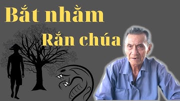 Vua Bắt Rắn Miền Tây Cũng Phải Bó Tay Với Con Rắn Chúa Này