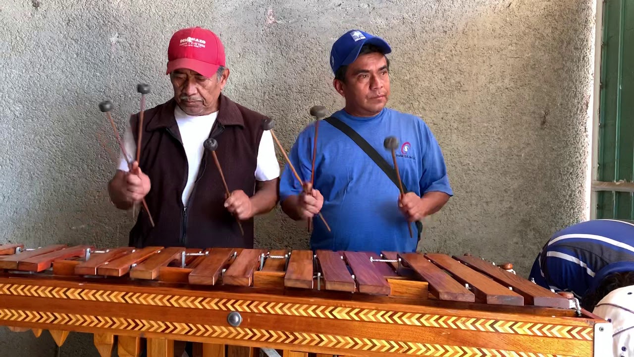 La Cotorra con Marimba YouTube