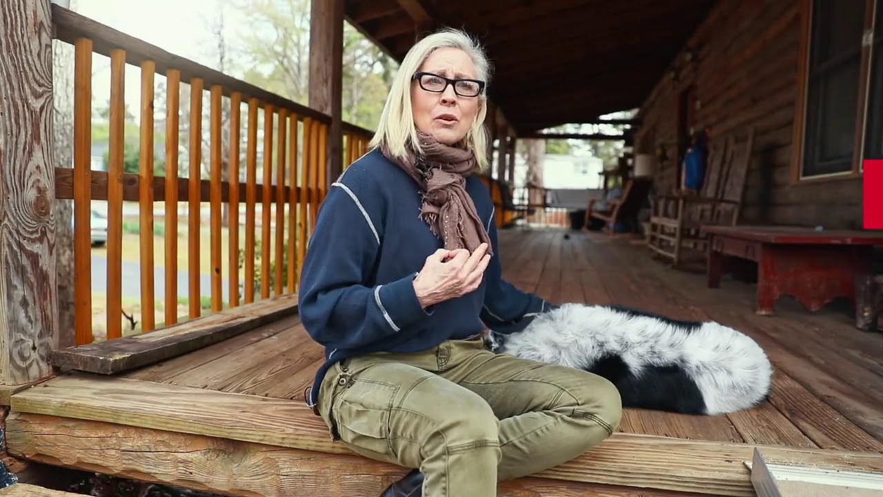 camera iphone 8 plus apk What Food Keeps the World’s Smartest Dog Going Strong?