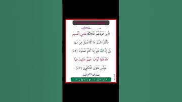 سورة النحل - سورة 16 - اية (29-28)