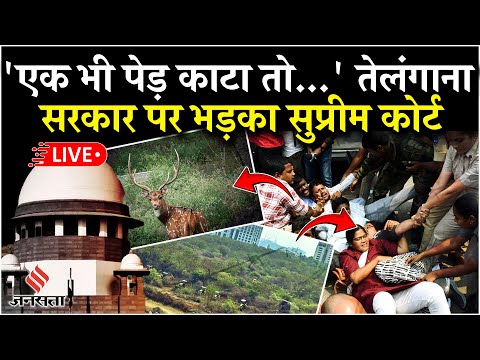 Telangana Forest Issue Live: हैदराबाद में जंगल काटने पर तेलंगाना सरकार पर भड़का SC| Telangana News