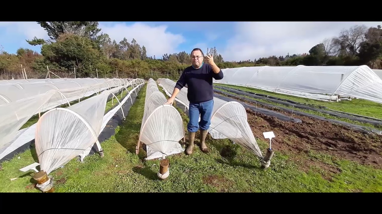 1 video microtuneles