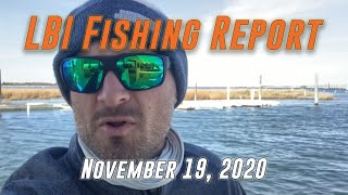 LBI Fishing Report 11/19/20