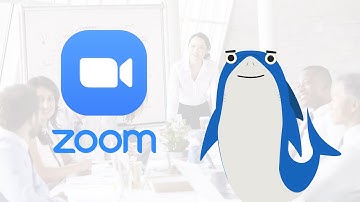 Hosting a Zoom Meeting with JAWS: Using Chat and Accessing Links in Chat Messages