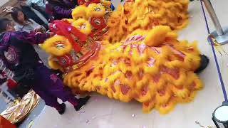 Let's watch Dragon Dance 2025/RoseNesreen18