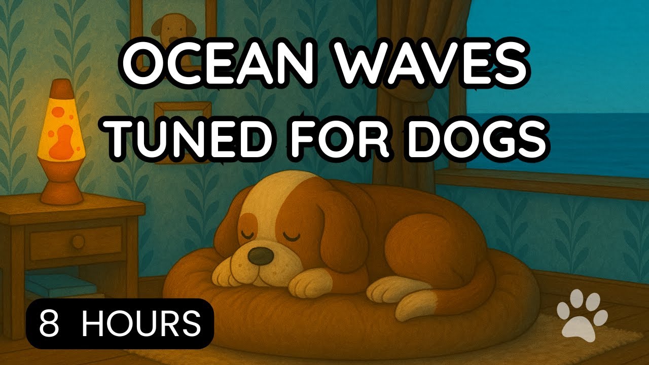 Beach Waves Tuned to the Soothing Range of Dog Hearing | Sleep & Calm