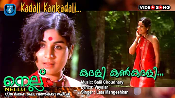 Kadhali kankadhali , Malayalam Super hit Video song , Nellu , Vayalar , Salilchaudhari .