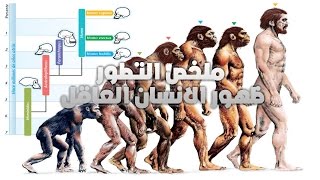 ملخص التطور ظهور الانسان العاقل - وثائقي 2