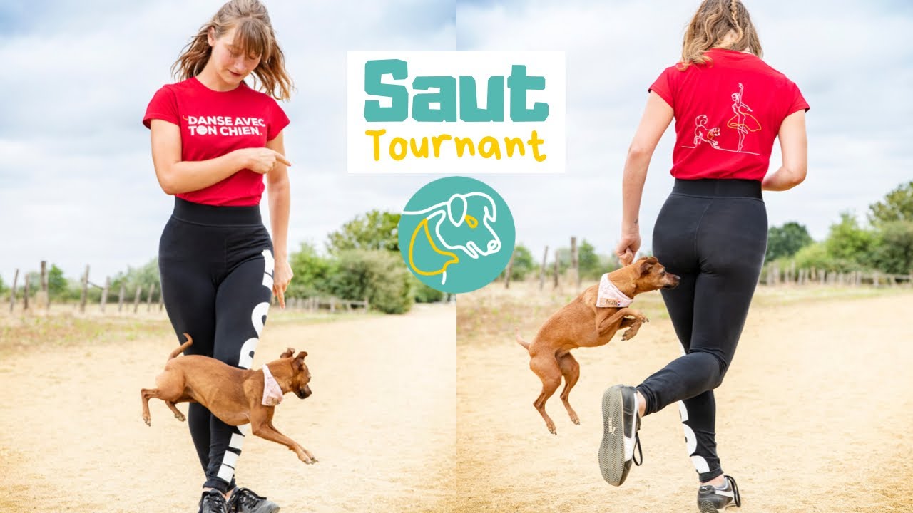 Methode SIMPLE pour apprendre au chien a sauter en tournant autour de l
