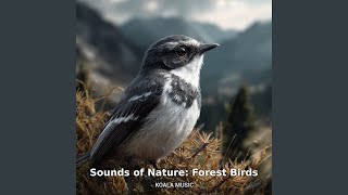 Sounds of Nature: Forest Birds and Tranquil Background, Pt.2