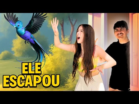 DEIXEI O PÁSSARO DO MEU NAMORADO FUGIR! E AGORA?