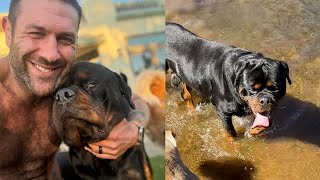 Challenging Dogs Like Leroy Are Often The Most Rewarding And Loyal Lee Asher