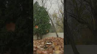 The Dropped Item Mistake #Shorts #SituationalAwareness #PersonalSafety