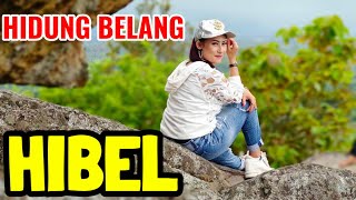 HIBEL (Hidung Belang) Vocal Kekey Battle Tarling Terbaru 2023